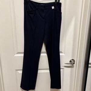 Express Dark Blue Pants